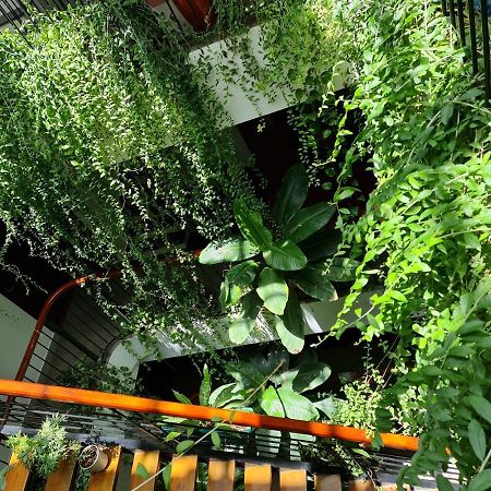 فندق نيكوبار كون داو Chi Khu Co Ong المظهر الخارجي الصورة